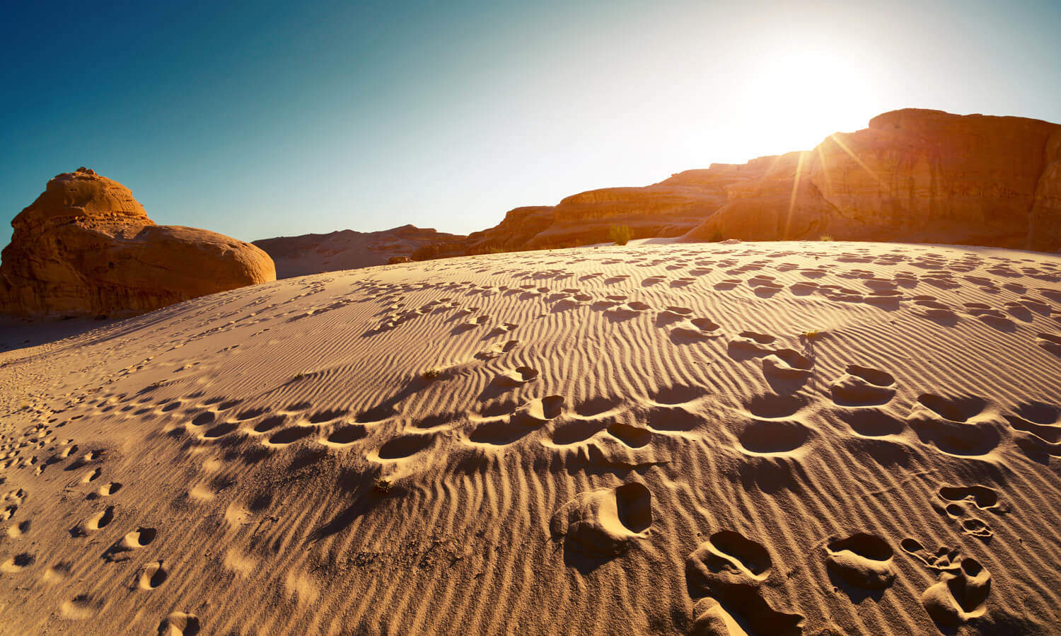 Desert Ready