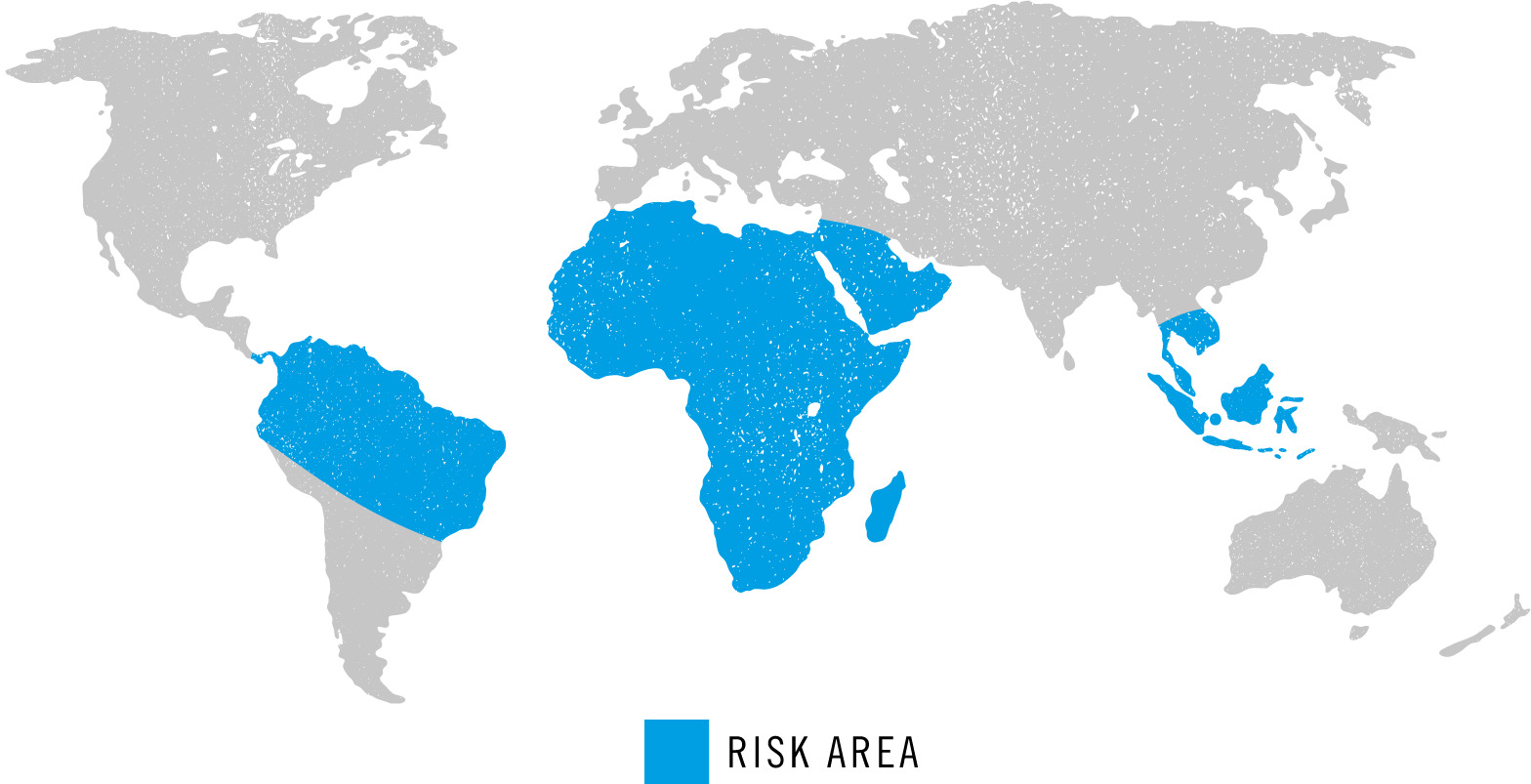 schistosomiasis térkép