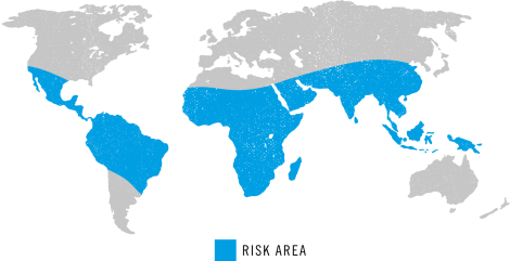 Polio Risk Area Map