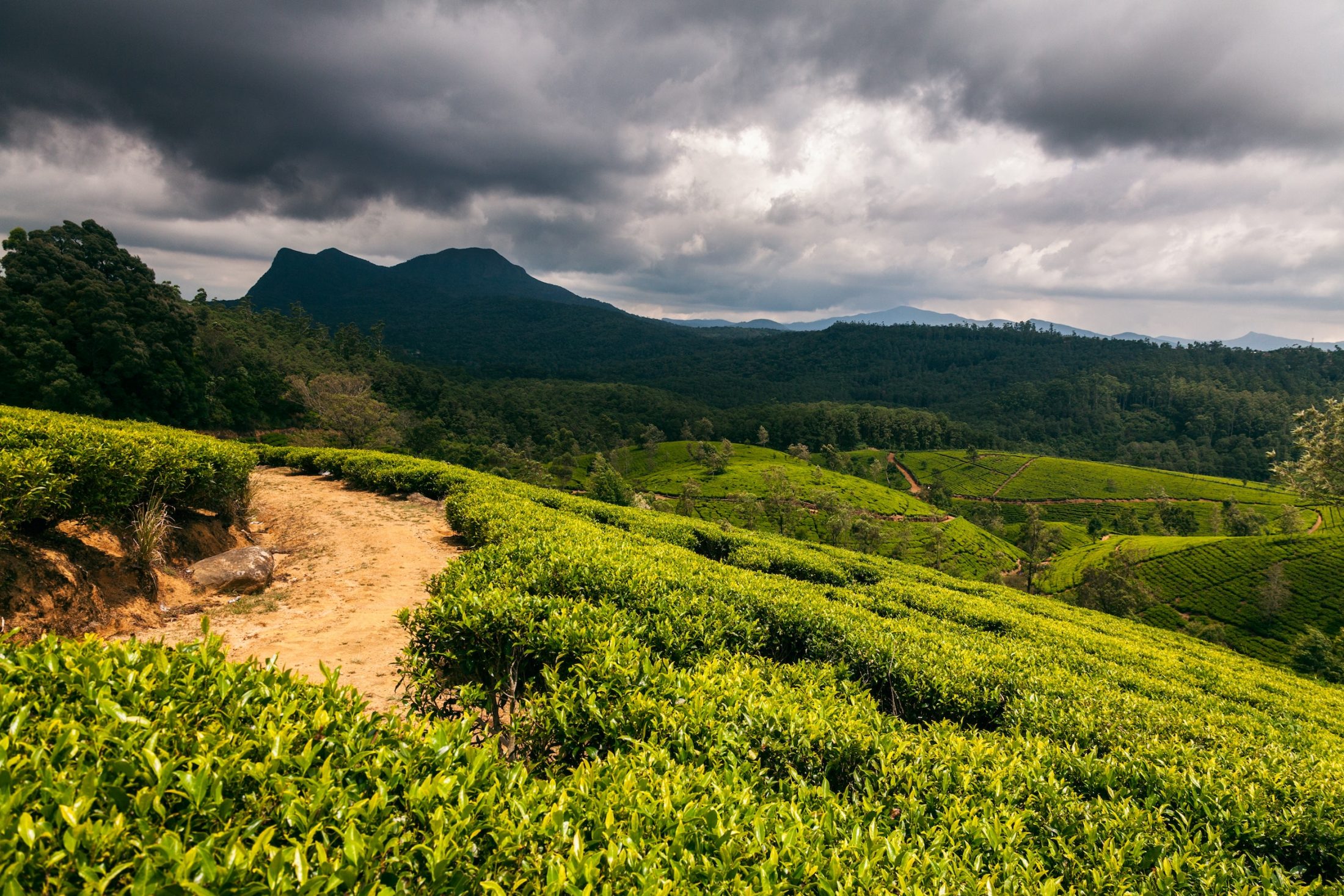 Traveling During the Monsoon Season in Asia: Bad Idea?