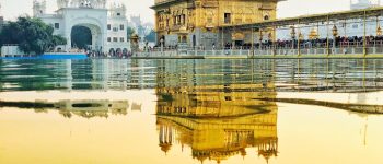 View of the Golden Temple in Amristar - India