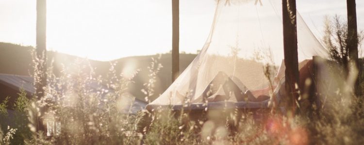 A person sits inside a mosquito net reading a book