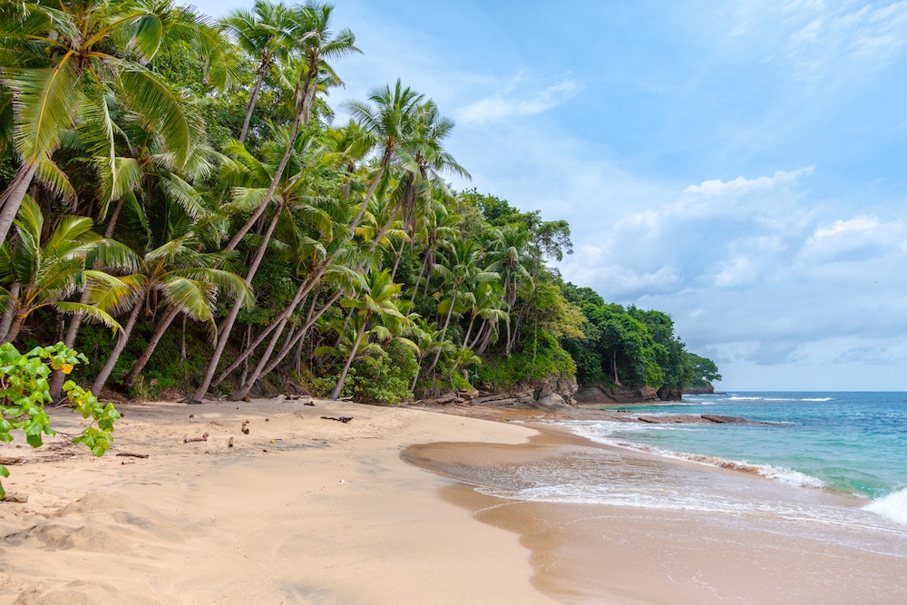 A sandy beach in Sri Lanka with palm trees